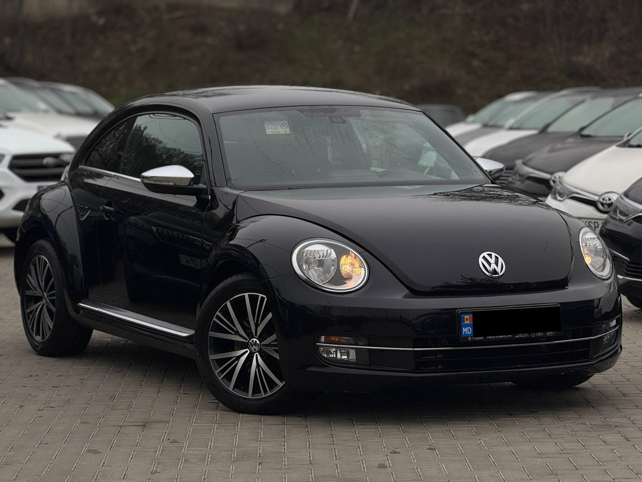 Volkswagen Beetle Volkswagen Beetle